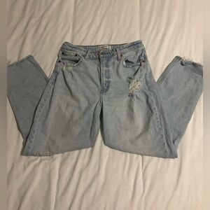 Abercrombie & Fitch Curve Love Mom Jean